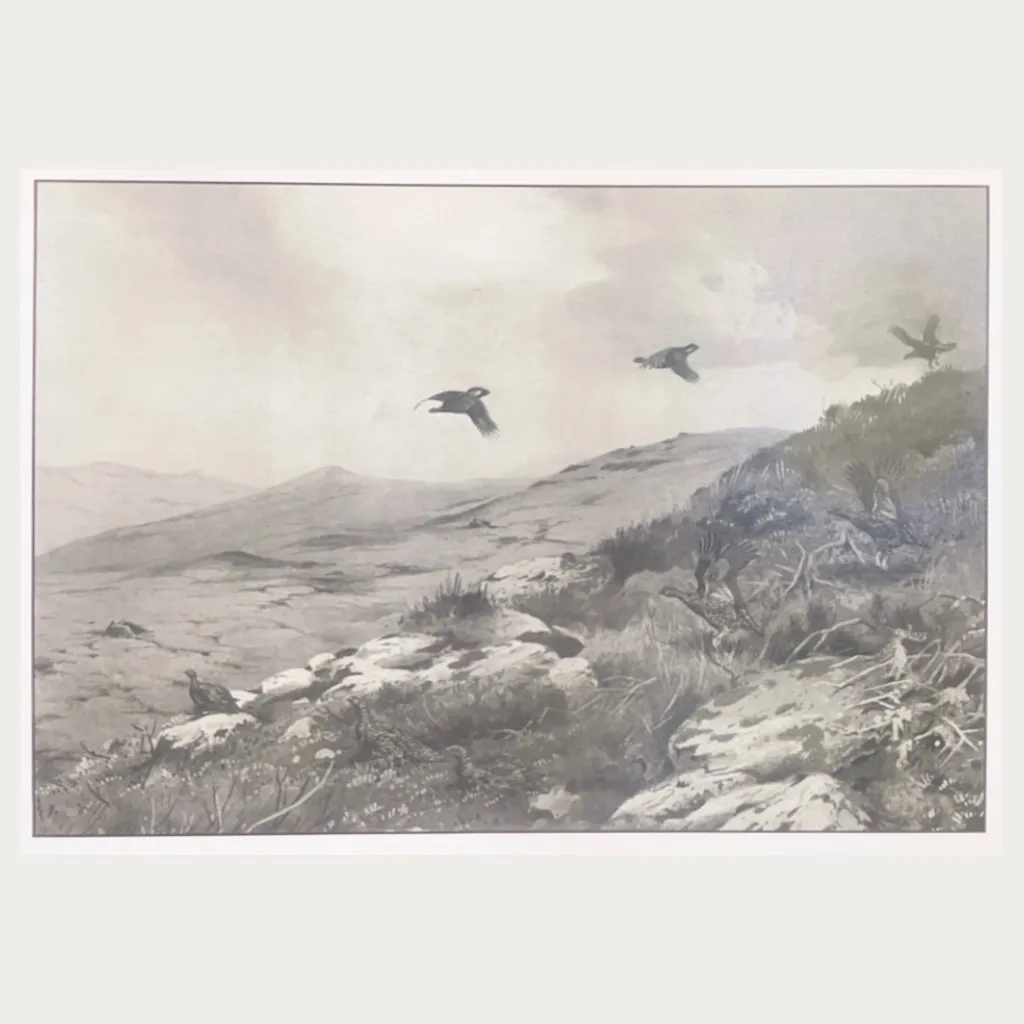 Lodge Grouse Greeting Cards - Pack of 10 - Image 4