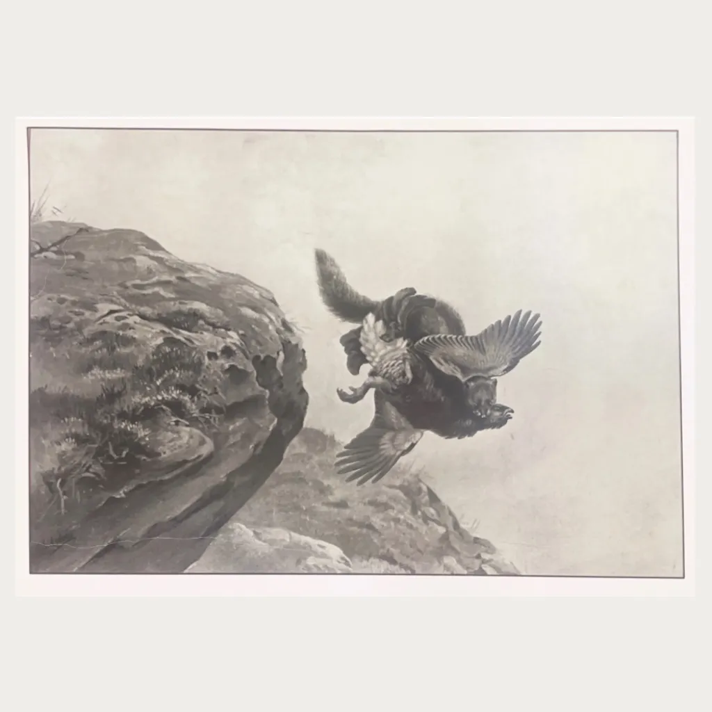 Lodge Grouse Greeting Cards - Pack of 10 - Image 5