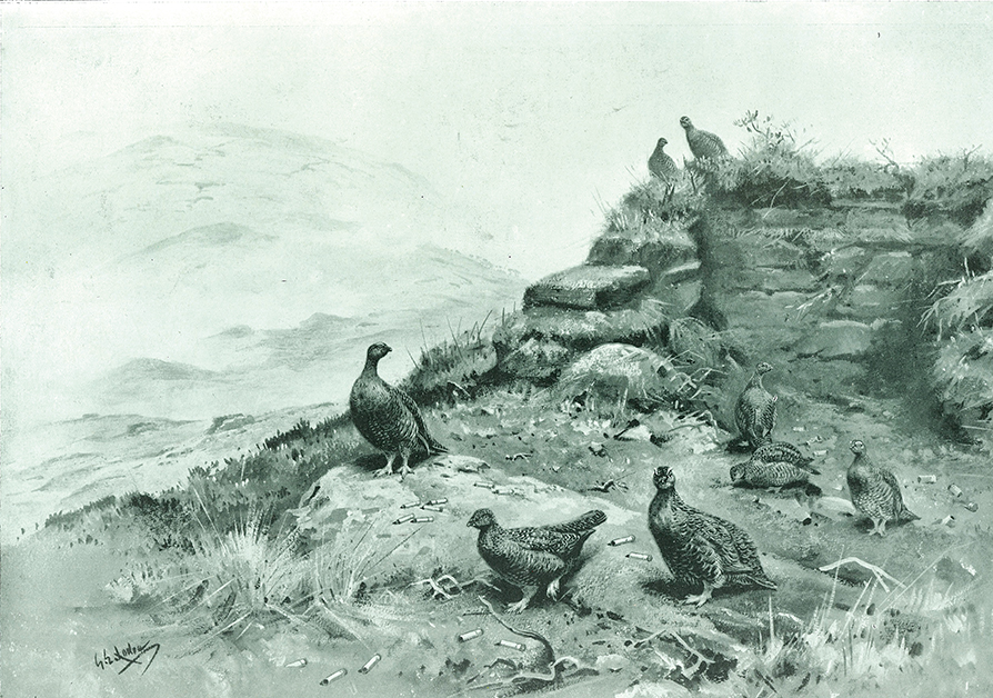 Grouse Security where death reigned
