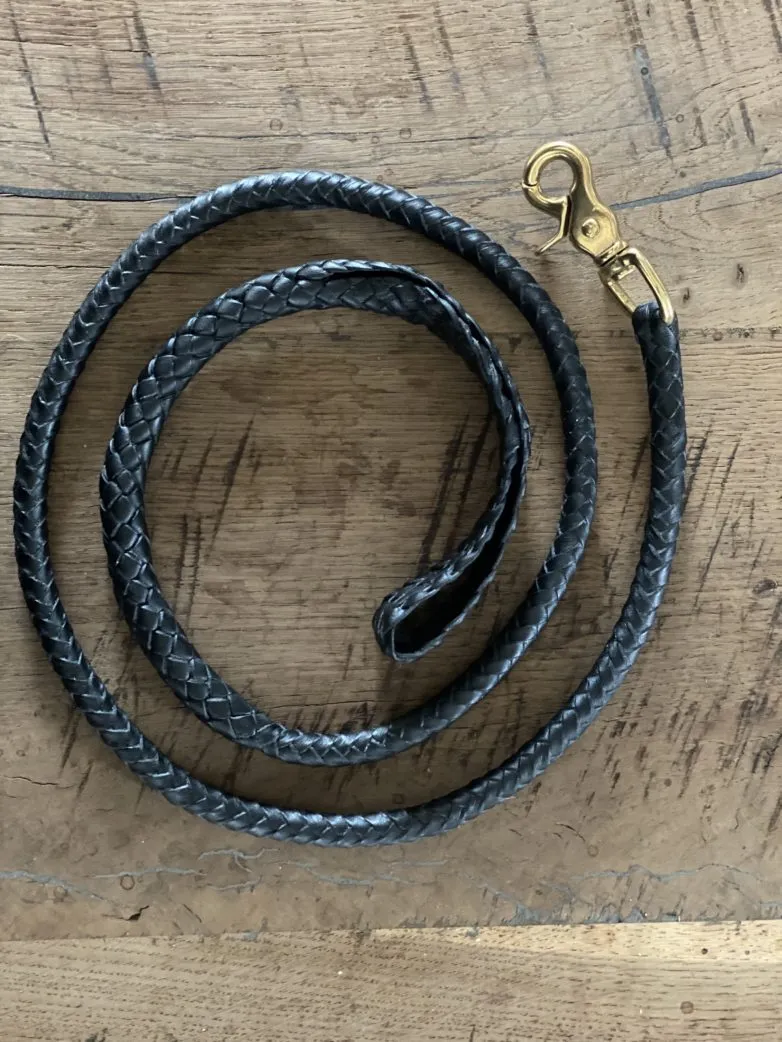 Kangaroo Leather Braided Dog Lead