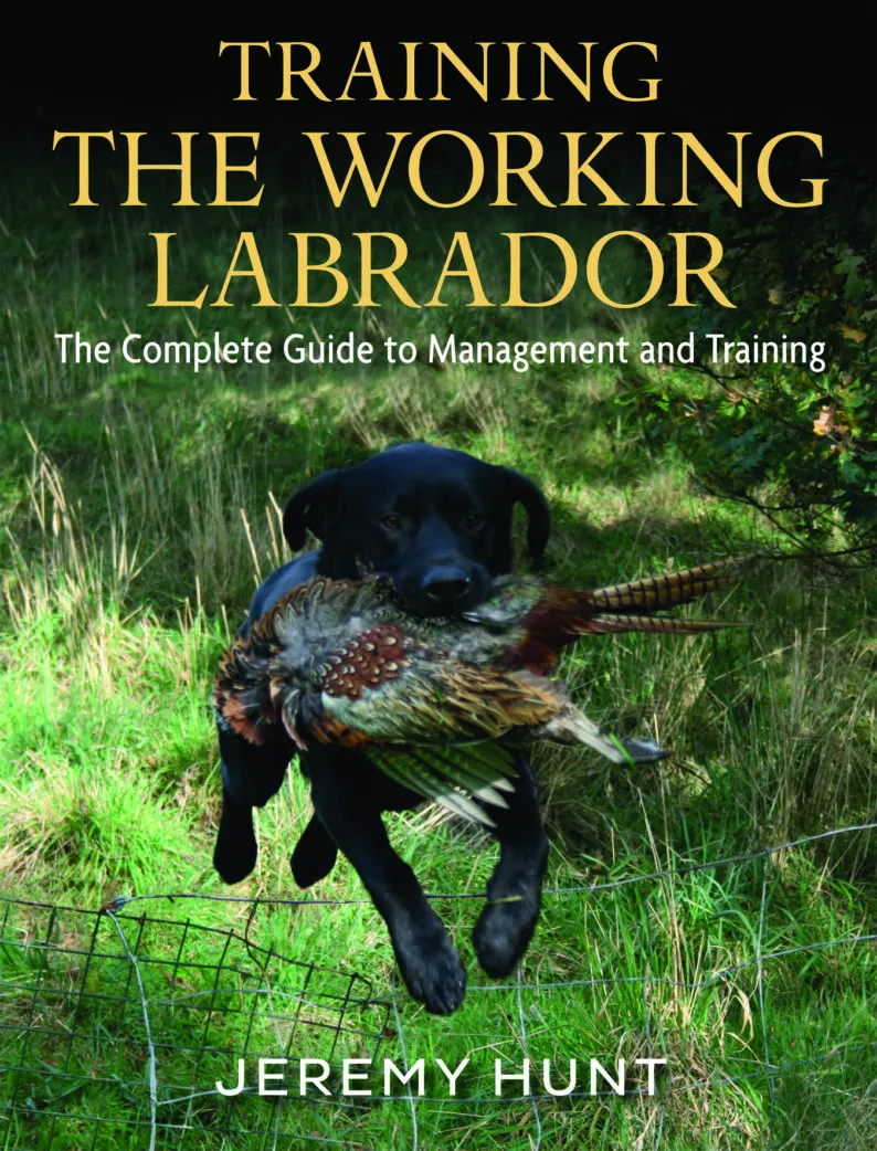 Training the Working Labrador by Jeremy Hunt