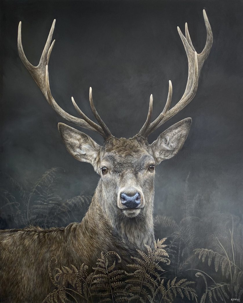 “Red Deer Stag” by Zoe Fitchet