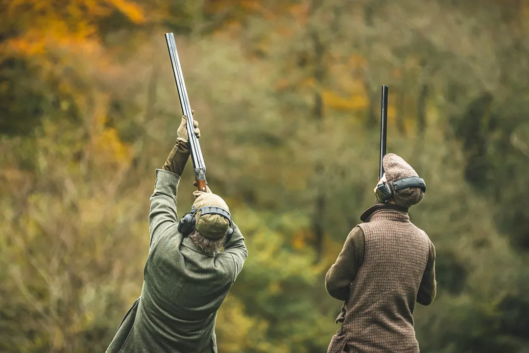Top UK Forest Getaways for Anxious  Dogs and Their Owners