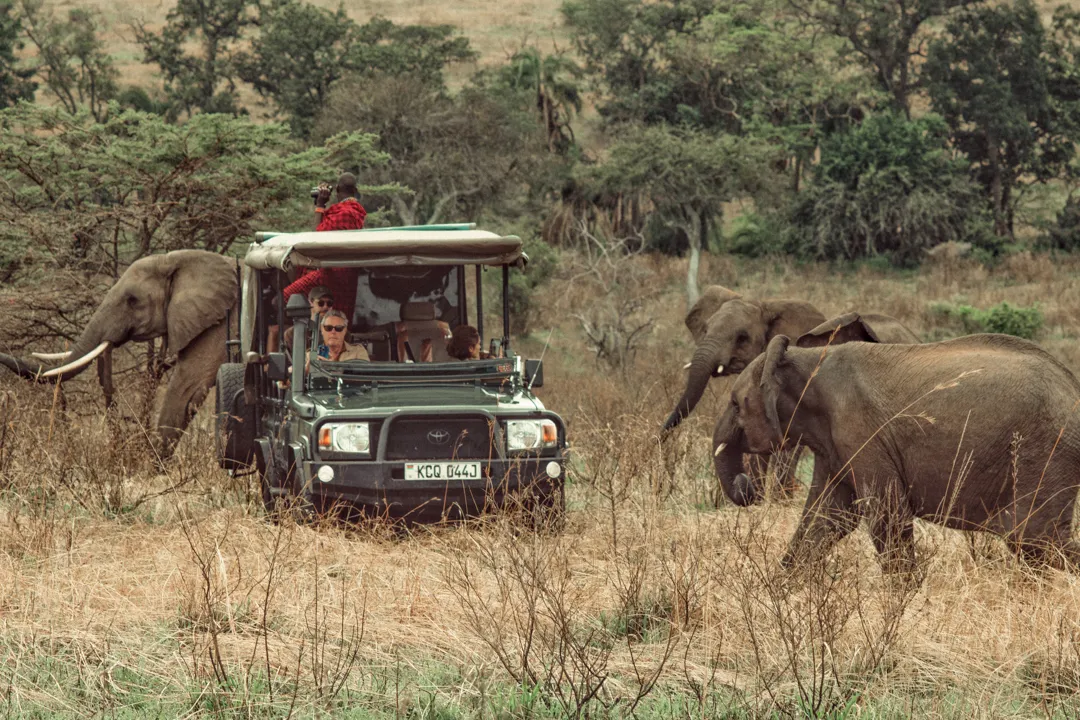 Fine Shooting Accessories  Tito West Safari Collection Campaign